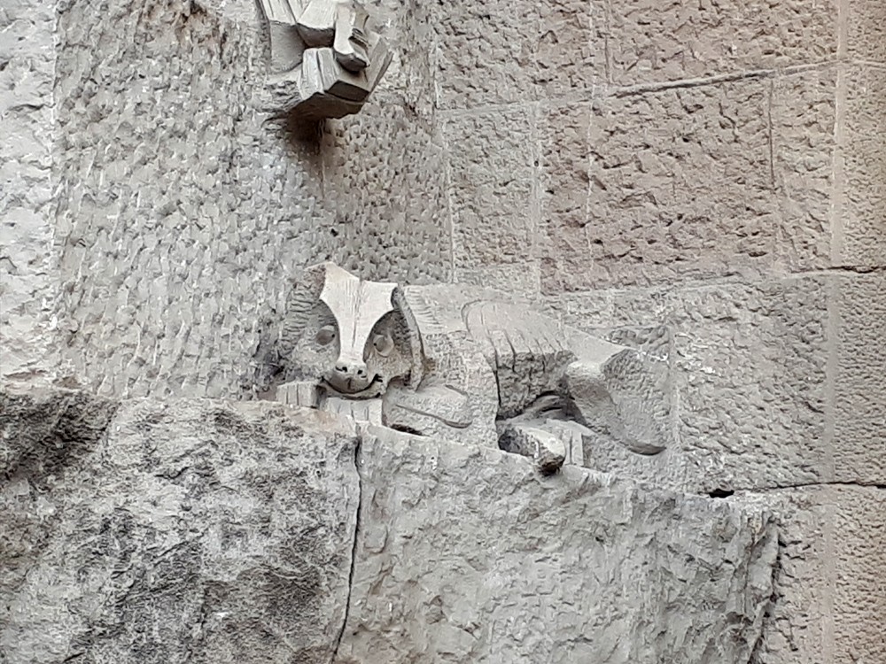 Detail of a dragon at the Segrada Familia, Barcelona, Spain